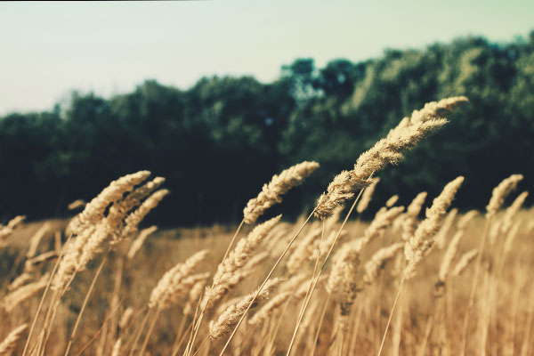 容量规划的手机号测压2025